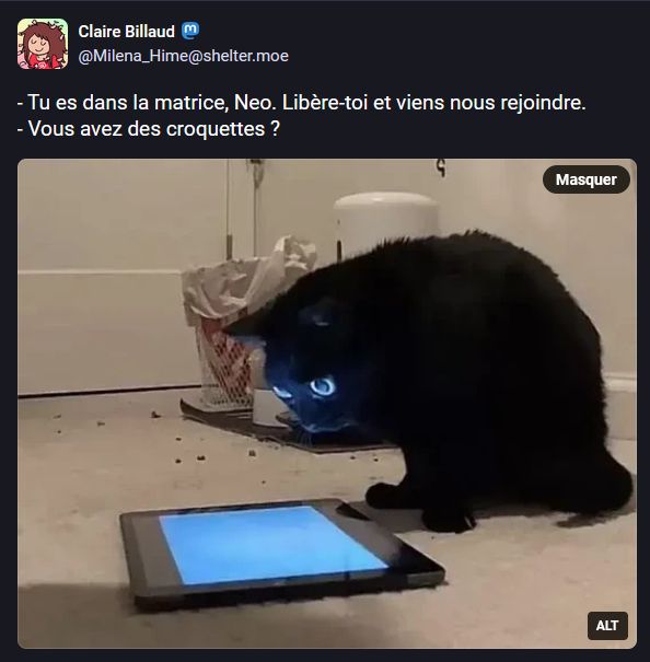 Image : Un chat noir est assis devant une tablette numérique posée au sol, dont l'écran est allumé. Il la regarde fixement, penché en avant, les pupilles turbo dilatées

Texte de Claire : - Tu es dans la matrice, Neo. Libère-toi et viens nous rejoindre.
- Vous avez des croquettes ?