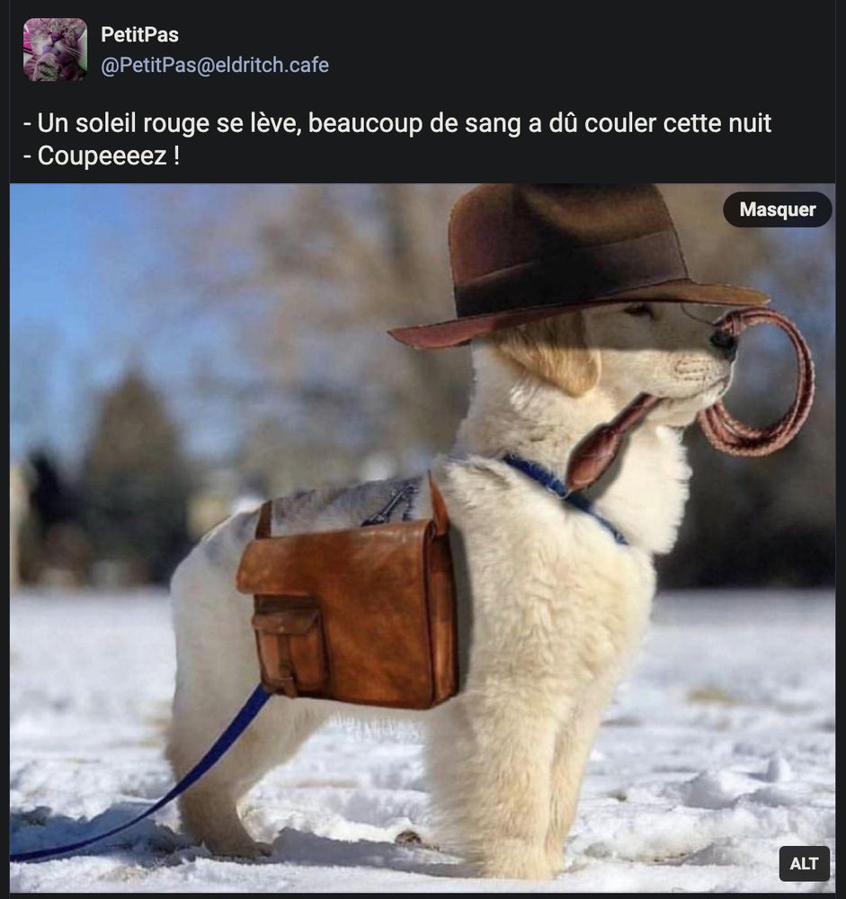 Image : Un petit chien blanc pris en photo de profil, se tenant bien droit sur la neige, en cosplay (grâce à un montage image) d'Indiana Jones (Chapeau sur la tête, fouet en cuir tenu enroulé dans la gueule, petite sacoche en cuir sur le dos). Il porte le regard au loin. Le chapeau protège tout juste ses yeux du soleil.


Texte de PetitPas : 
- Un soleil rouge se lève, beaucoup de sang a dû couler cette nuit
- Coupeeeez ! 