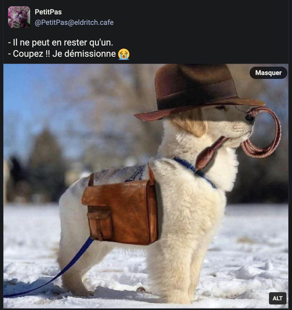 Image : Un petit chien blanc pris en photo de profil, se tenant bien droit sur la neige, en cosplay (grâce à un montage image) d'Indiana Jones (Chapeau sur la tête, fouet en cuir tenu enroulé dans la gueule, petite sacoche en cuir sur le dos). Il porte le regard au loin. Le chapeau protège tout juste ses yeux du soleil.

Texte de PetitPas :
- Il ne peut en rester qu'un.
- Coupez !! Je démissionne 😭