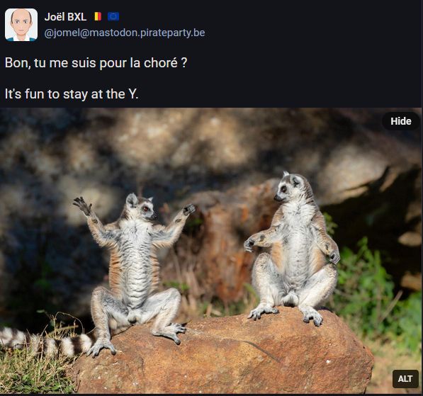Image : Deux lémuriens sont posés sur une roche, fortement exposés au soleil, face à nous, pattes arrières écartées en grand et se regardent. Celui de gauche a les pattes avant levées vers le ciel, les mains grandes ouvertes, comme pour faire un haussement d'épaules marqué

Texte de Jdël BXL : Bon, tu me suis pour la choré ?

It's fun to stay at the Y.