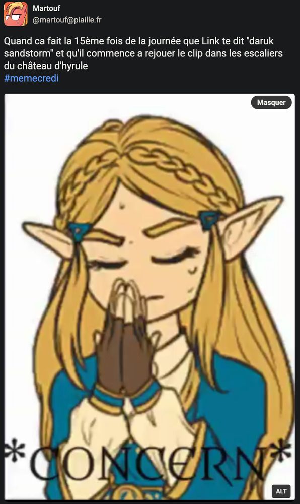 Image : Dessin de Zelda (une elfe (donc aux oreilles en pointe) blonde), les yeux fermés, les mains jointes devant son visage, semblant prendre une profonde inspiration. On peut lire le texte " *CONCERN* " (inquiétude) en bas de l'image 

Texte de Martouf : Quand ca fait la 15ème fois de la journée que Link te dit "daruk sandstorm" et qu'il commence a rejouer le clip dans les escaliers du château d'hyrule