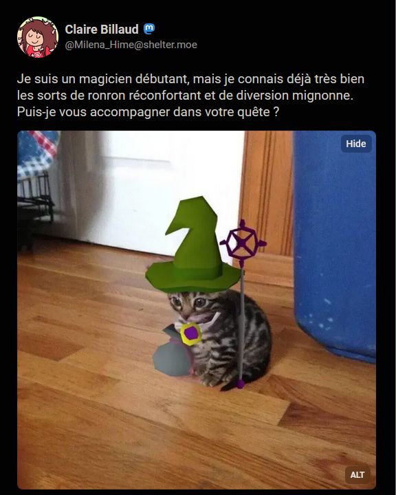 Image : Un chaton est assis. Une retouche de la photo lui fait porter un chapeau de mage et une amulette en pendentif, et avoir à ses cotés un baton de mage et une fiole de potion

Texte du post de Claire : Je suis un magicien débutant, mais je connais déjà très bien les sorts de ronron réconfortant et de diversion mignonne. Puis-je vous accompagner dans votre quête ?
