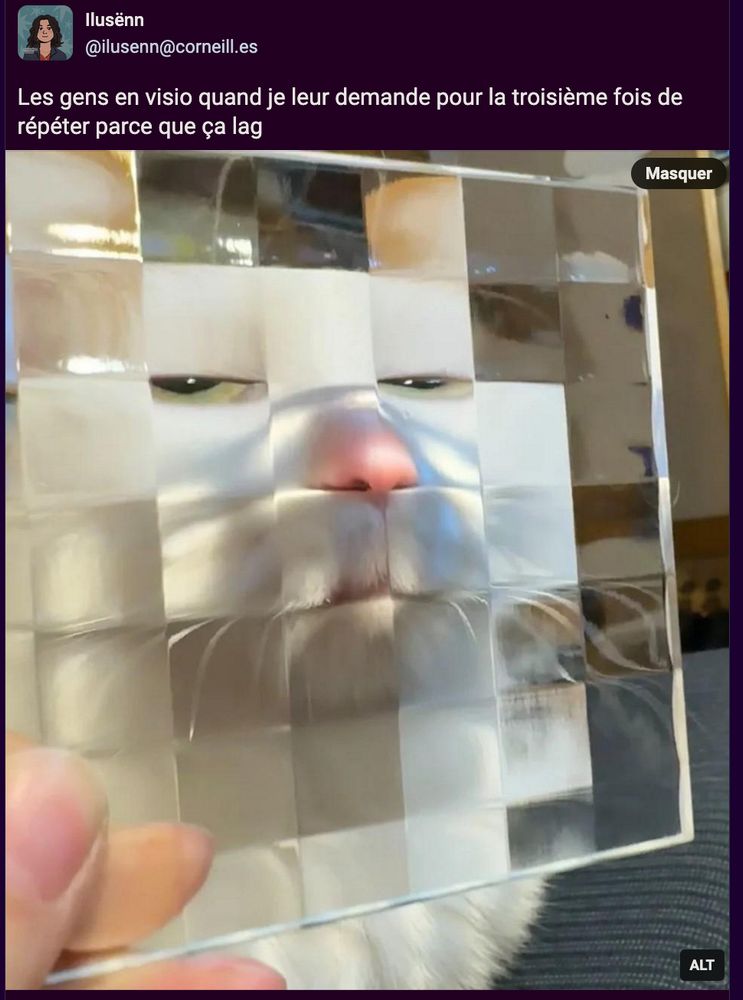 Image : La tête d'un chat est vue au travers d'une vitre déformante, composée de cellules carrées. Cela donne à ce chat un visage fermé avec des yeux à demi-fermés regardant en coin vers nous, avec une poker face voire une expression de jugement/suspicion

Texte de Ilusënn : Les gens en visio quand je leur demande pour la troisième fois de répéter parce que ça lag