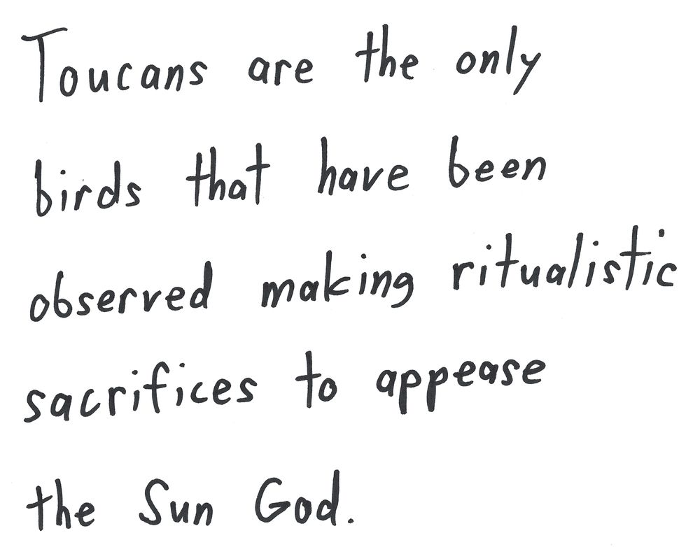 Toucans are the only birds that have been observed making ritualistic sacrifices to appease the Sun God.