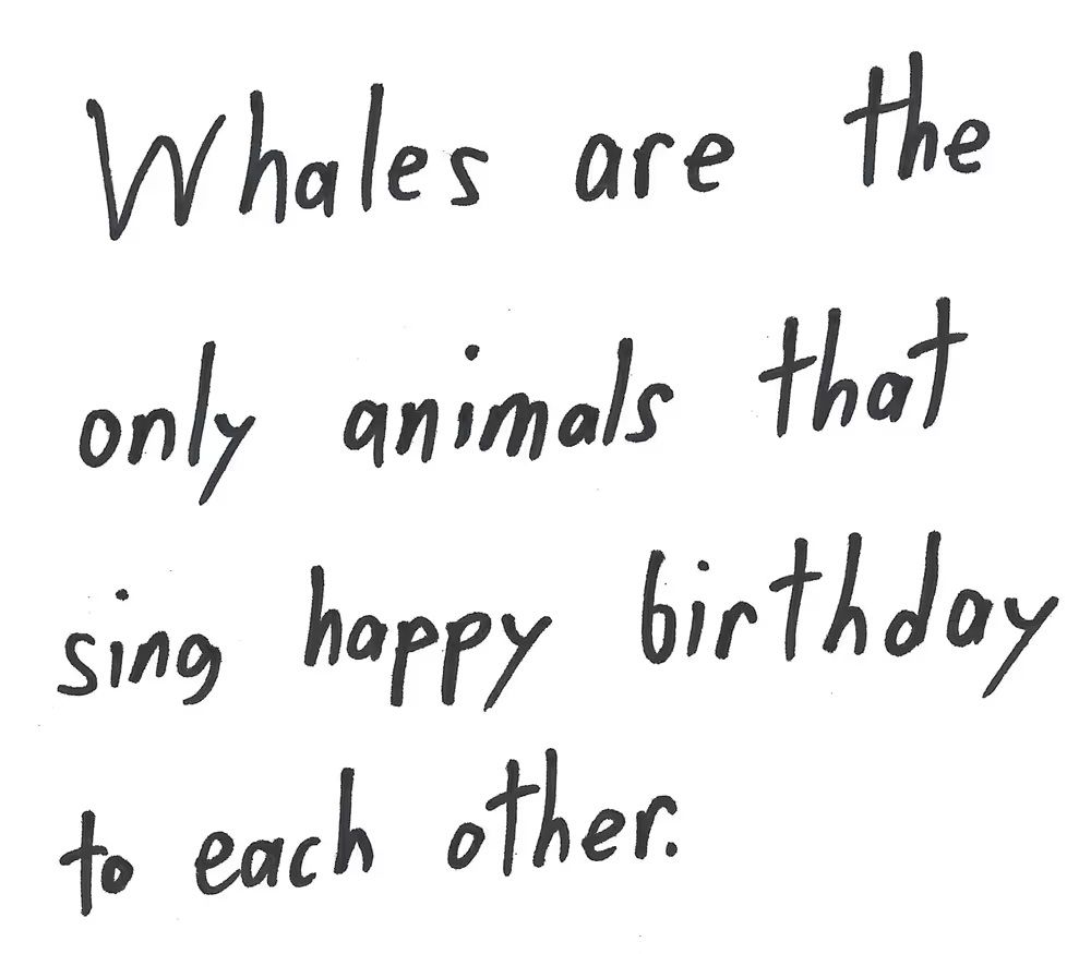 Whales are
the
only animals that
sing happy birthday
to each other.

