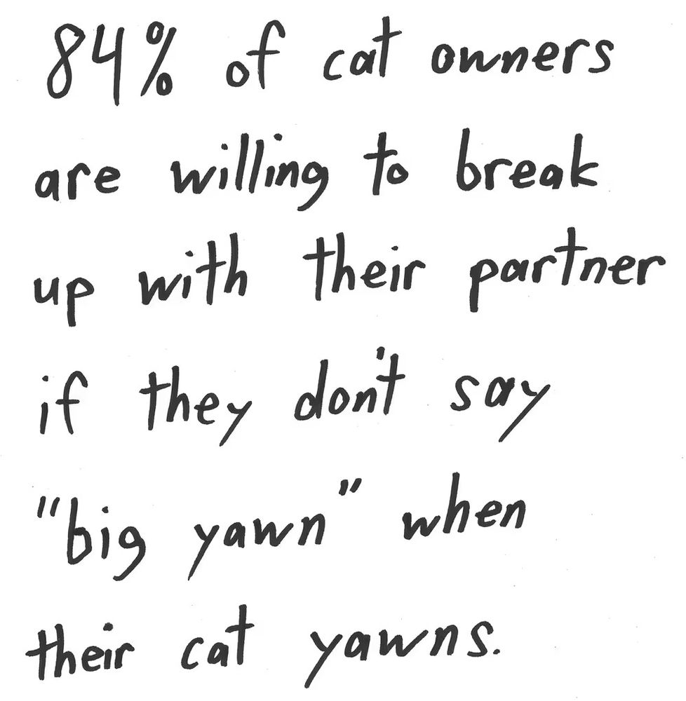 84% of cat owners
are willing to break
up with their partner
if they don't say
"big yawn" when
their cat yours.

