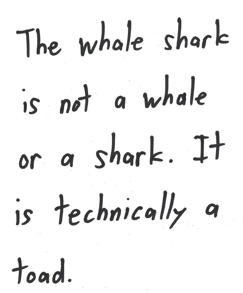 The whale shark
is not a whale
or a shark. It
is technically a
toad.

