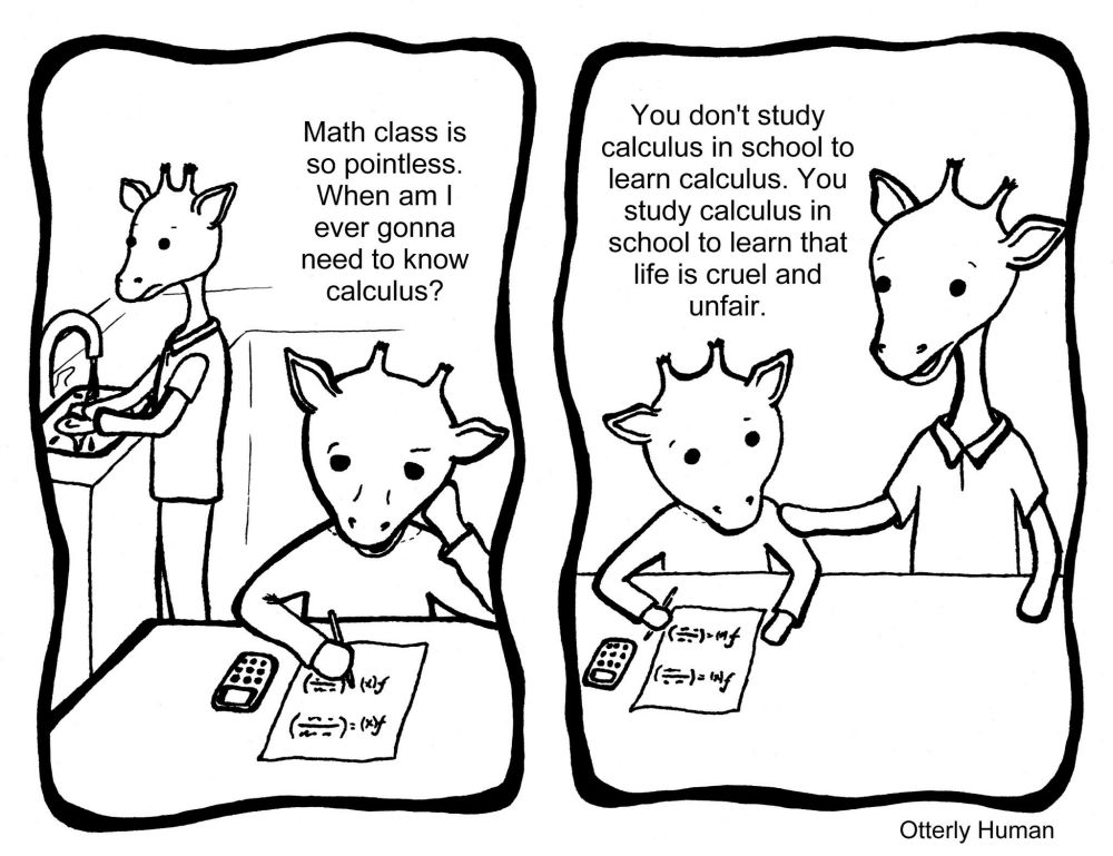 Child: Math class is so pointless, when am I ever gonna need to know calculus?
Parent: You don't study calculus in school to learn calculus. You study calculus in school to learn that life is cruel and unfair.
