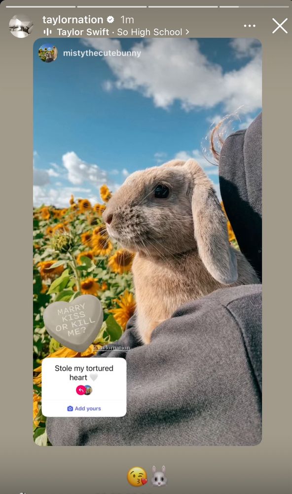 Taylor nation posts a photo of someone holding a rabbit with the kiss emoji and the rabbit emoji 