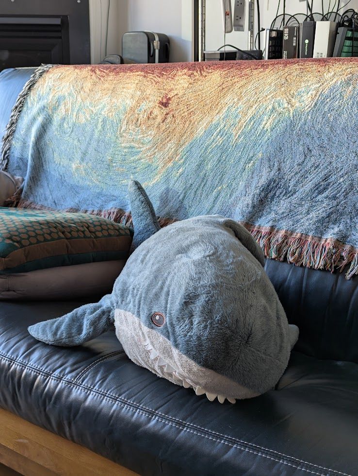 a Blahaj on the couch in front of a LTT Couchripper CPU pillow (modeled after an AMD Threadripper CPU) both in front of a custom blanket my awesome astrophysicist sister got for me that shows the magnetic field of the Milky Way from the center out

The blahaj is a stuffed shark with blue coloring and white underbelly. The Couchripper pillow has a silver integreated heat spreader section and then the IC packaging section which is green with gold "pads" stitched into it. The blanket is light blue with white and red lines showing the shape of the milky way's magnetic field, the galactic disk sitting on the top edge of the couch and only half of the galaxy visible to the camera.