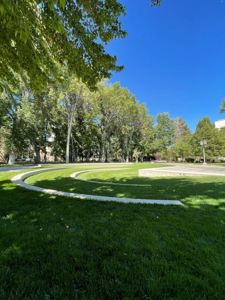 A sunny outdoor scene of a landscaped park with curved concrete walkways set in lush green grass. Mature trees with full green canopies line the background, and a bright blue sky is visible overhead. The curved paths create a soft amphitheater-like effect.