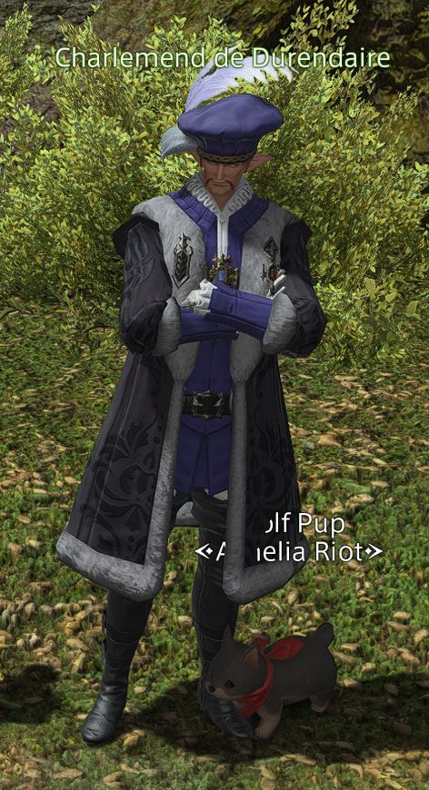 Argath the Wolf Pup standing directly on top of Charlemend de Durendaire's shoe. Whether he means to bite it or piss on it, none can say, including him.