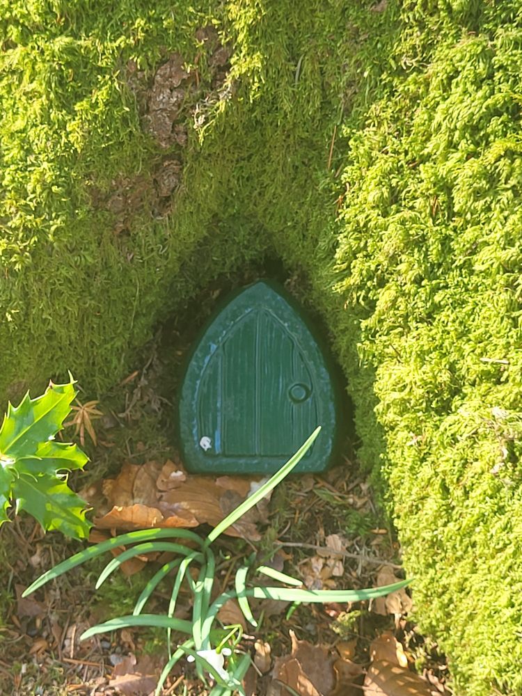 A small green door at the base of a mossy tree. There is some green holly leaves and long grass in the foreground. 