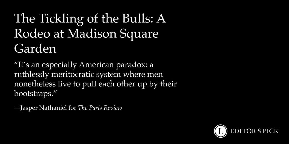 Headline: The Tickling of the Bulls: A Rodeo at Madison Square Garden
Dek: "It’s an especially American paradox: a ruthlessly meritocratic system where men nonetheless live to pull each other up by their bootstraps."
Tagline: Jasper Nathanial for The Paris Review
A logo in the bottom right reads “Longreads Editor’s Pick”