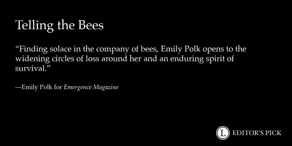 Headline: Telling the Bees
Dek: Finding solace in the company of bees, Emily Polk opens to the widening circles of loss around her and an enduring spirit of survival.
Tagline: Emily Polk for Emergence Magazine
A logo in the bottom right reads “Longreads Editor’s Pick”
