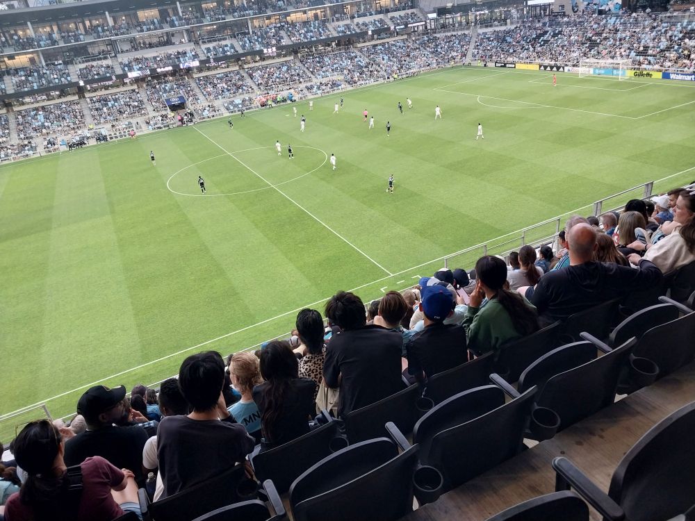 Fans, soccer field and tiny players.