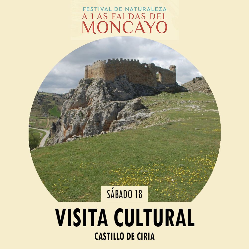 Cartel promocional del Festival de Naturaleza a las Faldas del Moncayo. Como imagen central sale el castillo de mi pueblo, que son básicamente unas paredes ruinosas sobre un risco. Es un típico castillo roquero, subido en lo alto de una roca. El enclave es bastante espectacular. Por delante del castillo aparecen unas eras, en primavera, cubiertas de hierba y con algunas flores amarillas asomando.