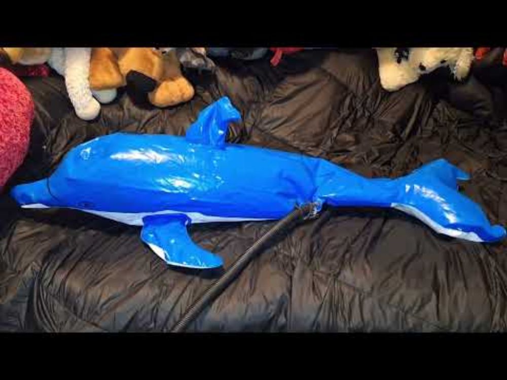 Inflate Small Dolphin Inflatable