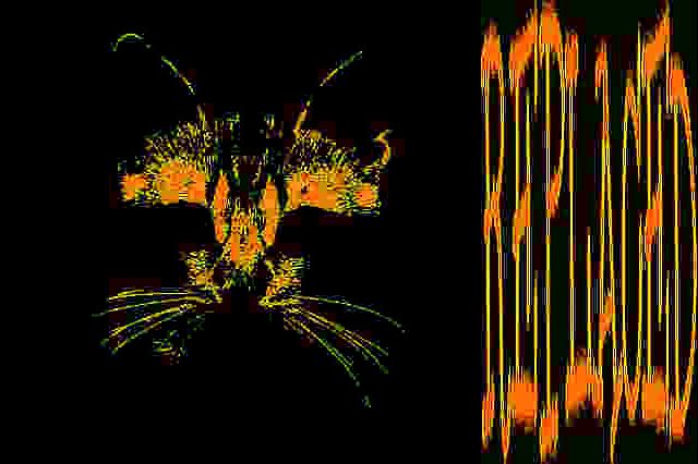 Memories scratched away by forgetfulness.