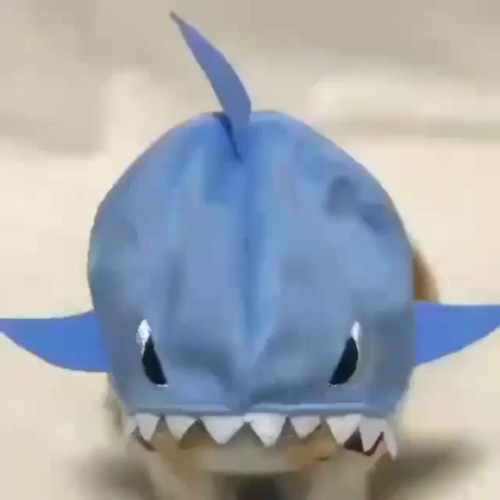 a cat is wearing a blue shark costume with teeth .