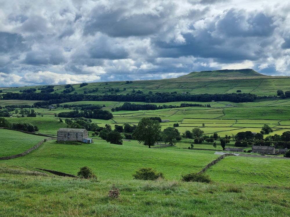 View of Wensleydale, rolling green gills punctuated by the odd tree, dry stone wall and stone farm building.