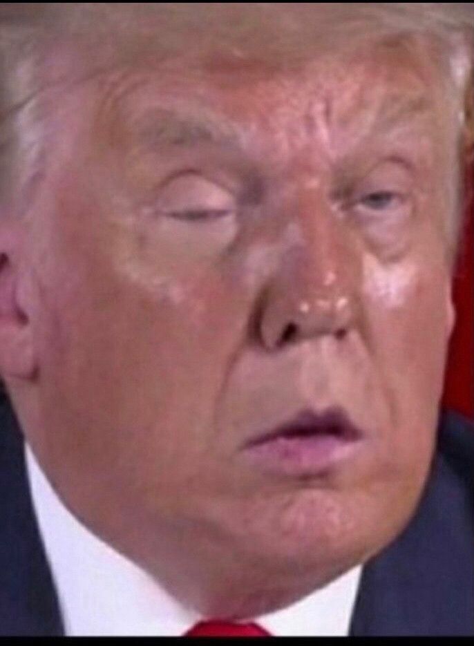 Pedo & nepo baby & felon trump at one of his hate filled maga rallies. Fucking pig 🐽 