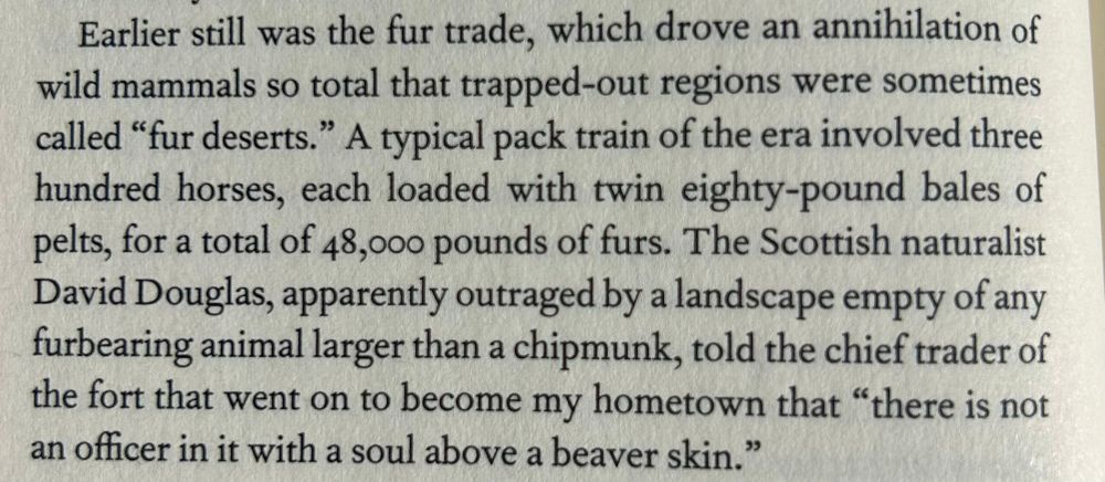 Earlier still was the fur trade, which drove an annihilation of wild mammals so total that trapped-out regions were sometimes called "fur deserts." A typical pack train of the era involved three hundred horses, each loaded with twin eighty-pound bales of pelts, for a total of 48,000 pounds of furs. The Scottish naturalist David Douglas, apparently outraged by a landscape empty of any furbearing animal larger than a chipmunk, told the chief trader of the fort that went on to become my hometown that "there is not an officer in it with a soul above a beaver skin."