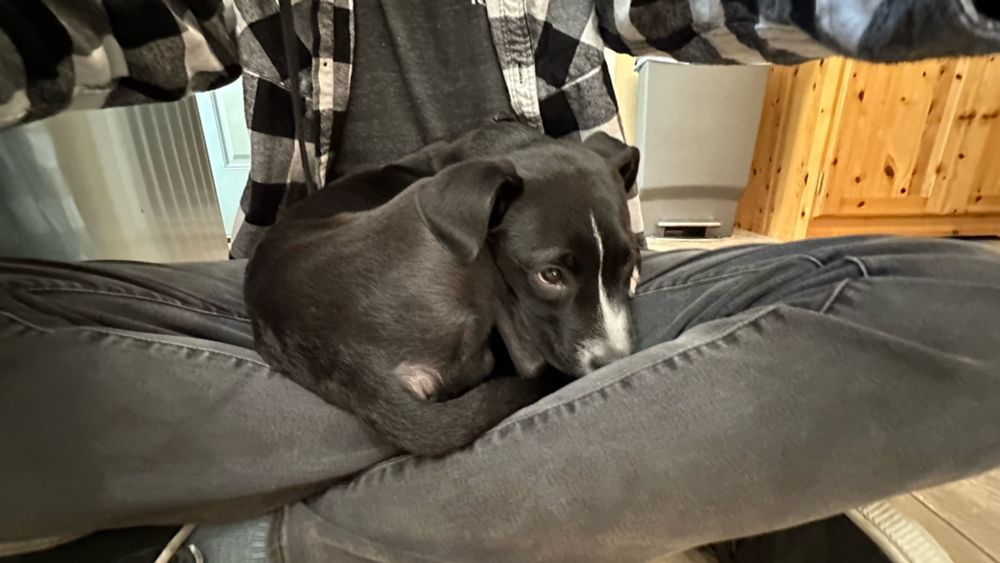 me and my new puppy Ringo 🥹