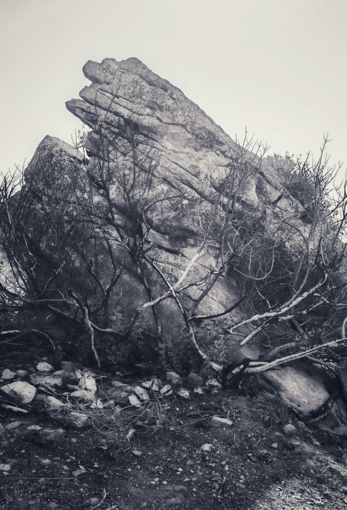 Una roca enorme retallada pel contrallum en un cel transparent d'agost. Als peus de la roca, arbustos secs i vegetació austera de secà. Imatge en blanc i negre. 