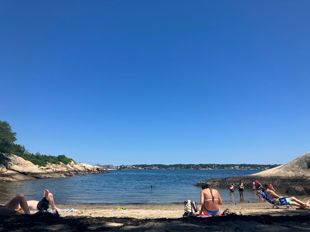 The beach 