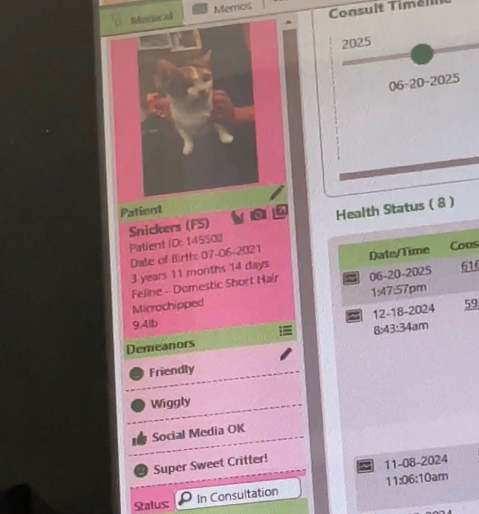 Closeup of a computer screen with some of the cat’s medical chart, and a photo of her in someone’s lap. A section labeled Demeanors has her listed as: Friendly, Wiggly, Social Media OK, and Super Sweet Critter! 