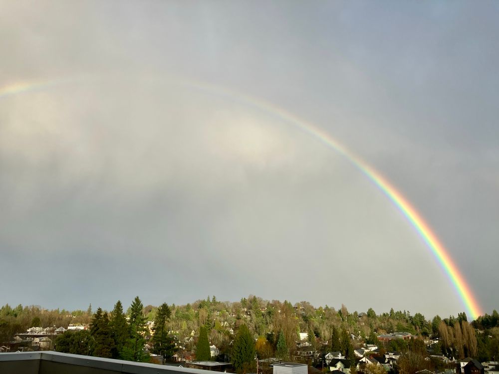 Arc of a rainbow over houses and trees. The sky is very grey. 