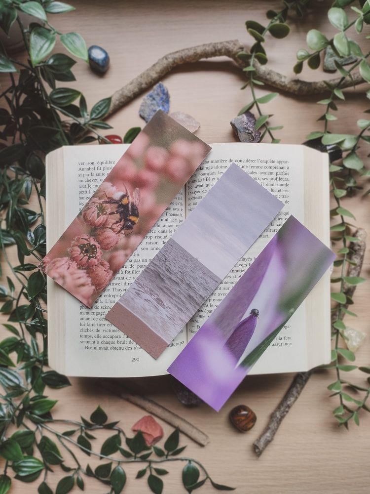 3 exemples de marque page : le bourdon sur les fleurs roses, la mer, un insecte sur un crocus