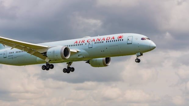 The N.L. government says an Air Canada disruption could be 'catastrophic' to the local economy and tourism industry during the province's busiest tourism season.