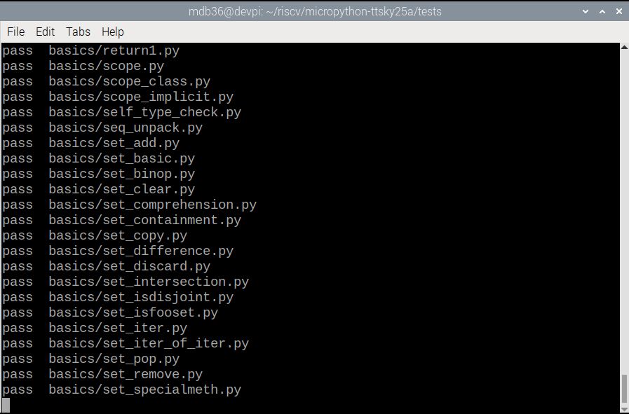 A terminal window with text like "pass  basics/set_copy.py" on each line, showing the tests are passing.