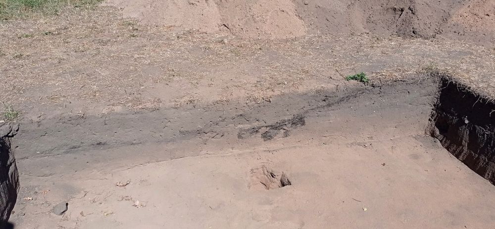 Burnt layer with daub. Disturbed by later ploughing.