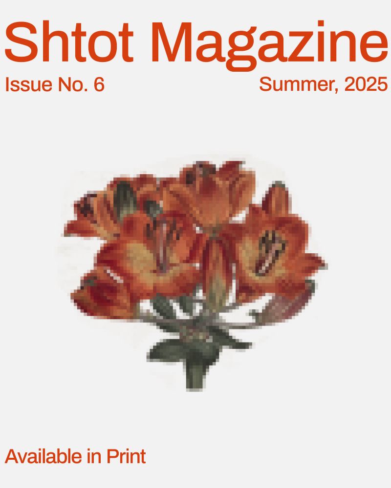 Poster with large red text that reads "Shtot Magazine, Issue No. 6, Summer 2025. Available in print" over a pixelated image of a red and orange bunch of flowers against a light background