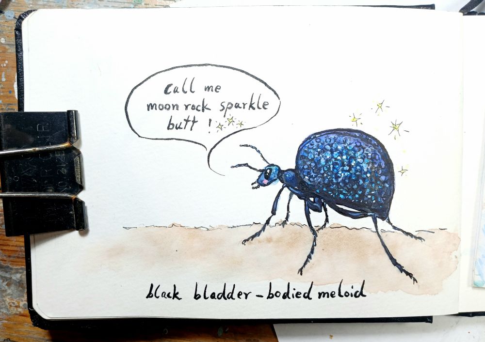 quick sketch of a black bladder bodied meloid
its a more cartoonish doodle of a blue/black/turquoise beetle with a big round abdomen 
He is saying "call me moon rock sparkle butt"
underneath is written the official name