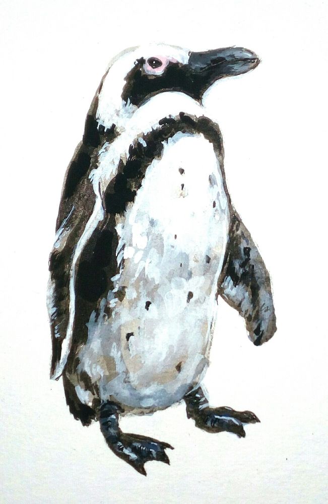 A sketch of a standing Humboldt penguin
...mostly black and white with pink around the eyes