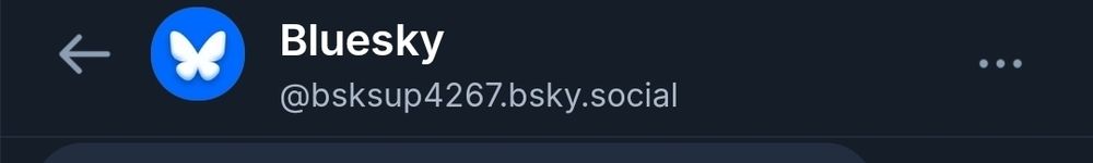 Another screenshot zoomed in on the icon username and user link from this scam message received by this user. This makes it very clear that this is a scam message that is not from the actual Blue Sky support team. There is no blue check mark and the profile link does not read as a single word , but a shorthand version of the words blue sky support with a handful of numbers behind it. 