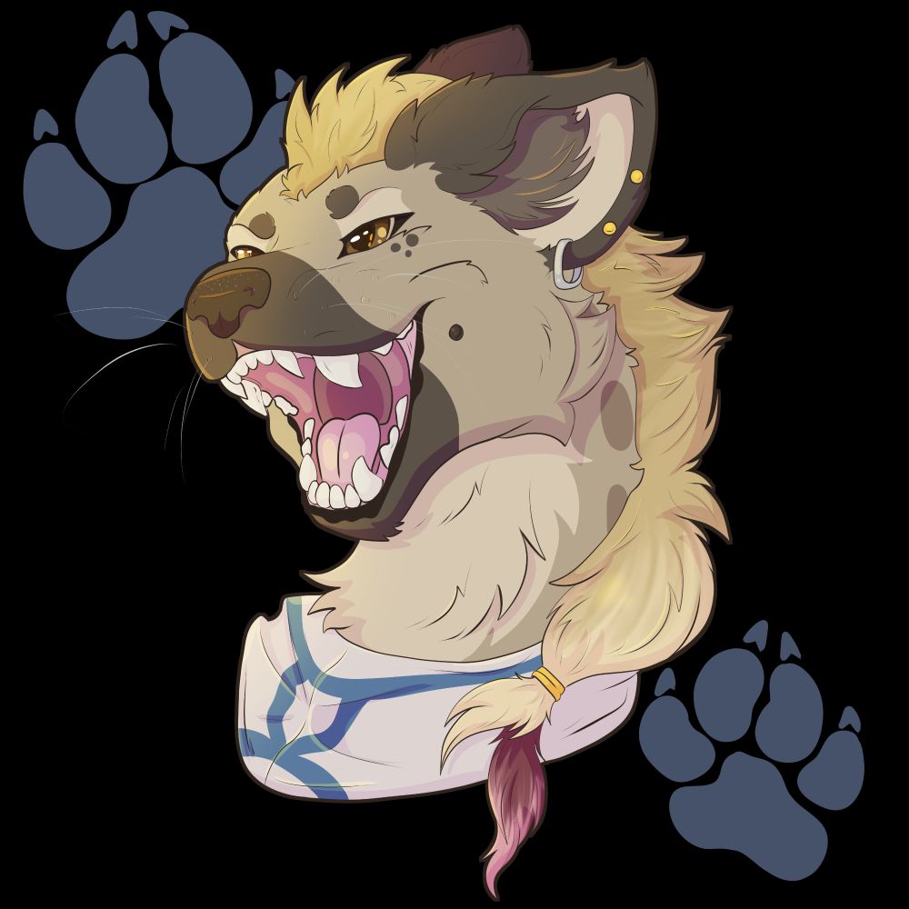 A square token for Rpll20 of my gnoll character, Ym