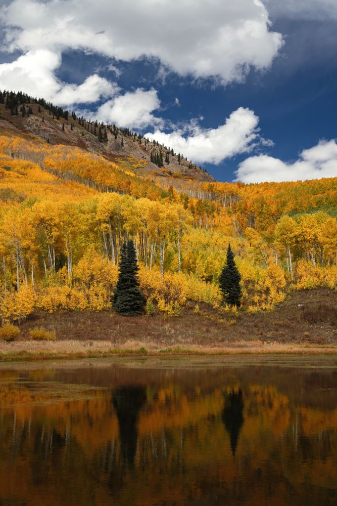 Golden aspen trees blanket a mountain side, dotted with two pine trees. The blue sky and golden tones reflect in a mountain lake at the top of Beaver Trail.

Gear: Canon R5, 24-140mm lens.
Location: Near Crested Butte, Colorado 