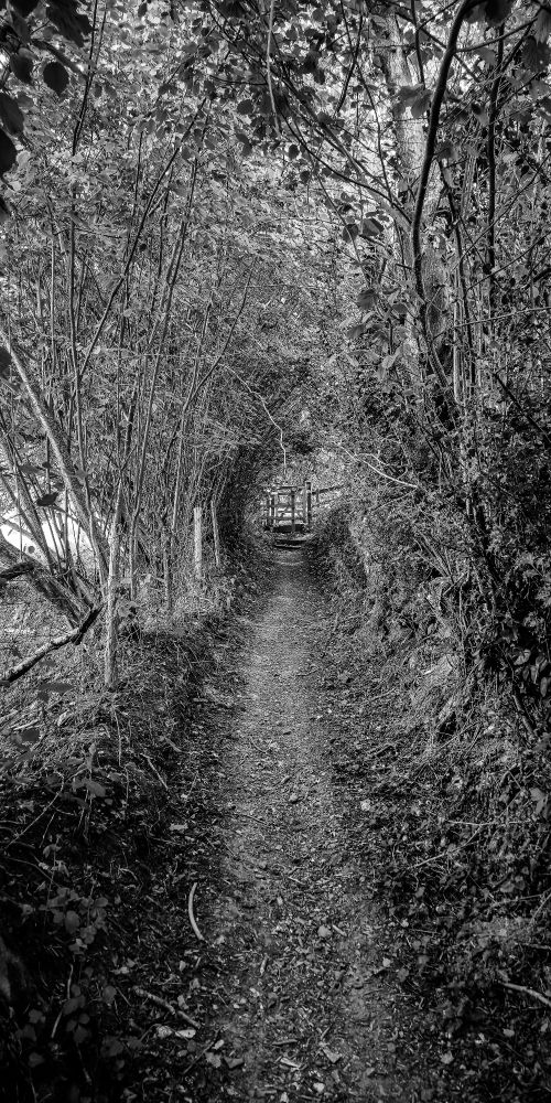 Black and white image of a narrow wooded path leading toward a weathered gate, the branches forming a tunnel of filtered light. Photographed along the Cotswolds Way in Gloucestershire, UK.