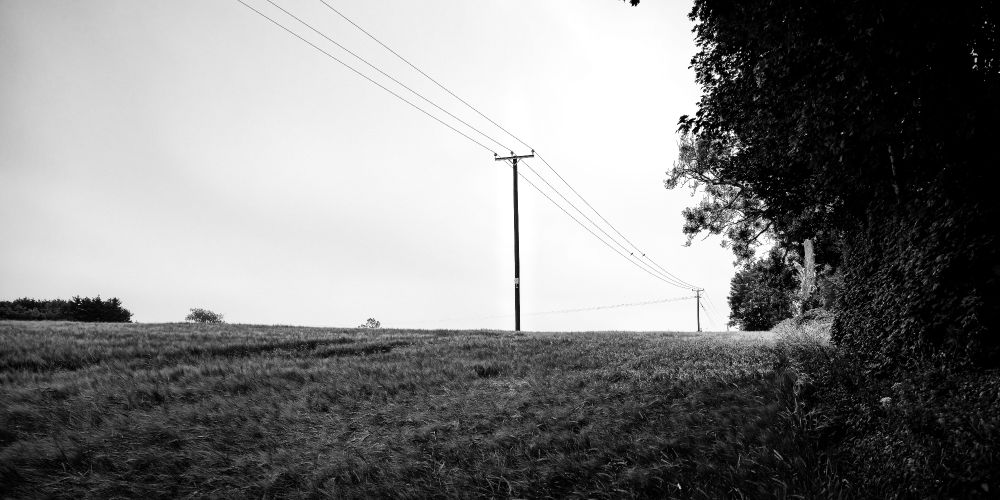A black and white photo of a telephone pole standing in an open Cotswolds field, with wires sweeping diagonally across a pale sky. Tall grass fills the foreground, and trees line the right edge.