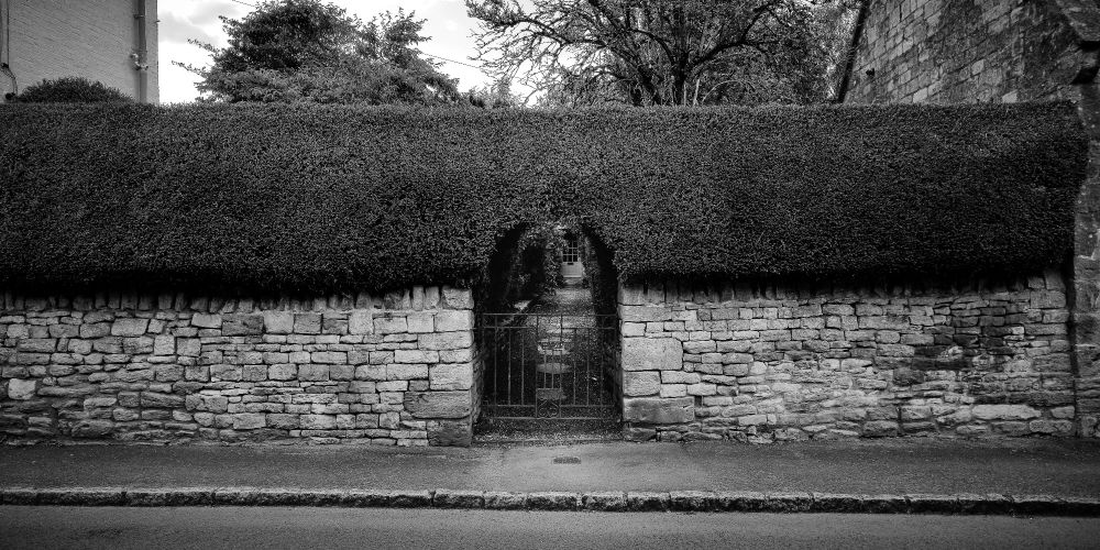 A tightly trimmed hedge sits atop a stone wall, with a small iron gate cut cleanly into the center. Through the opening, a narrow path leads toward a hidden doorway framed by shadows and trees. The composition is symmetrical, quiet, and precise. The image is in black and white, emphasizing texture, geometry, and stillness.