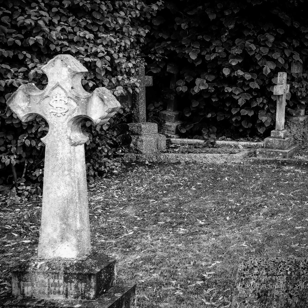A black-and-white image of a weathered stone cross stands in the foreground of a village cemetery in the Cotswolds, UK.  The cross in the foreground looks, at first glance, to an American to have a dollar sign in the middle of it, though there is likely another UK explanation. Additional crosses and headstones recede into a dense wall of ivy behind it, partially hidden in shadow.