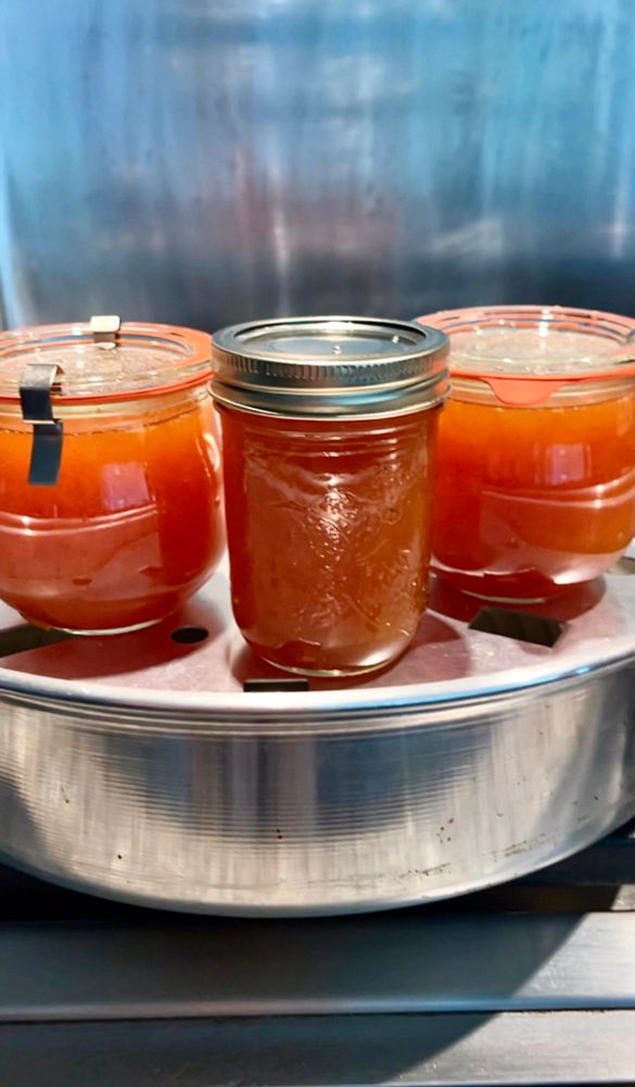 Plum jam is like a liquid amber - three full jars in the atmospheric steam canner. 