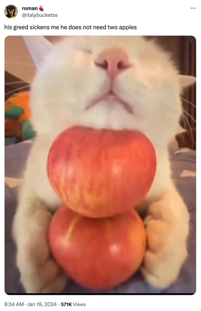 tweet showing a photo of a cat resting its head on 2 apples put on top of each other, saying "his greed sickens me he does not need two apples"