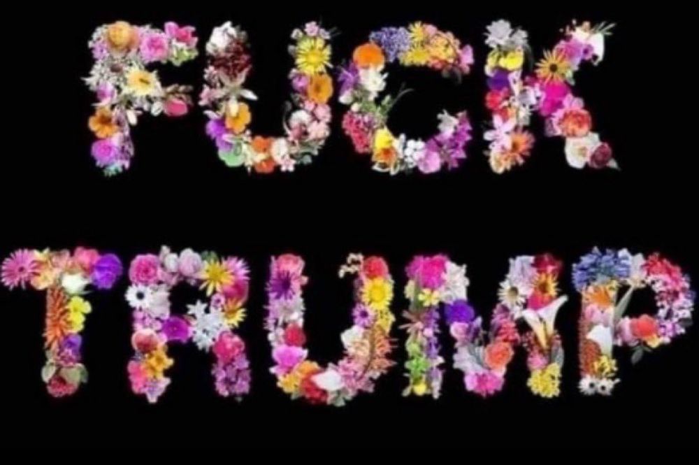 Comment image