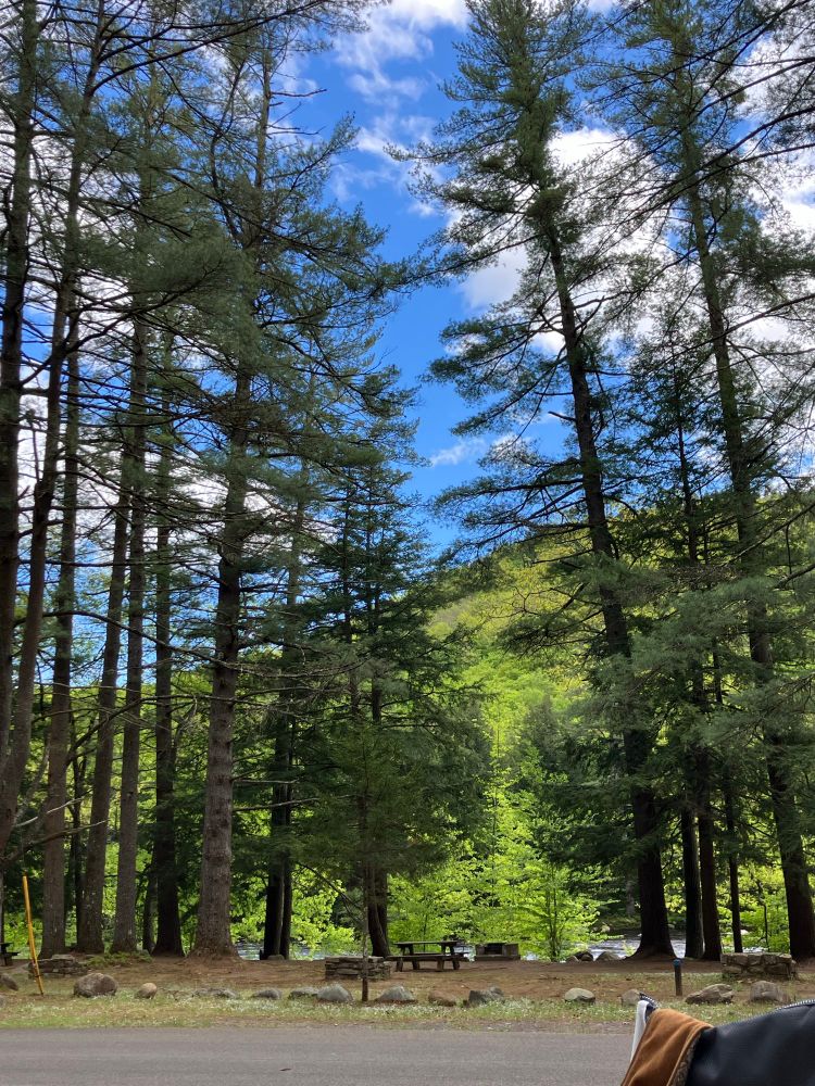 A picture of a picnic area at a campsite. There are all pine trees and a picnics tables and some stone fire pits. There’s more greenery in the background on a mountain. The sky is blue with some clouds. 